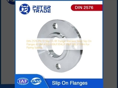 DIN 2576 PN 10 Slip On RF Flange Stainless Steel Slip On Flanges ASTM A182 F304/F304L/F316/F316L/F304H Boru sistemi için